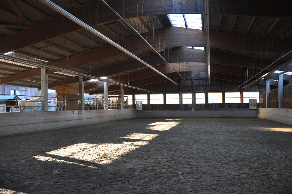 Pferdepension Bühlhof Ötisheim Reiten