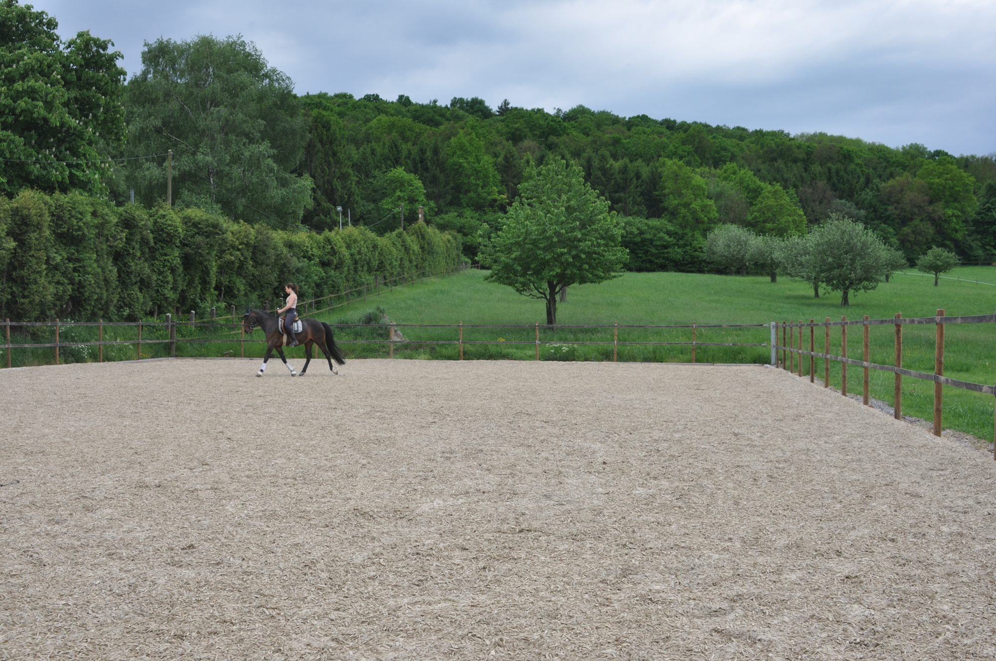 Pferdepension Bühlhof Ötisheim Reiten